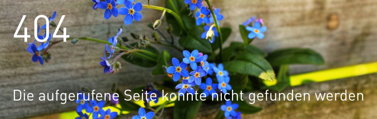 Ups - die aufgerufene Seite konnte nicht gefunden werden